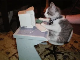 Cyber